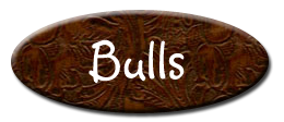 Bulls for Sale
